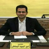 دكتور أمير البساطي اصابات ملاعب ومناظير مفاصل في القاهرة حلوان