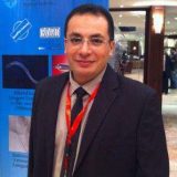 دكتور حسام منصور اوعية دموية بالغين في الجيزة الدقي